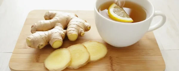Gingembre : usages, données disponibles et précautions 8 Racines de gingembre alcalin et tasse de tisane